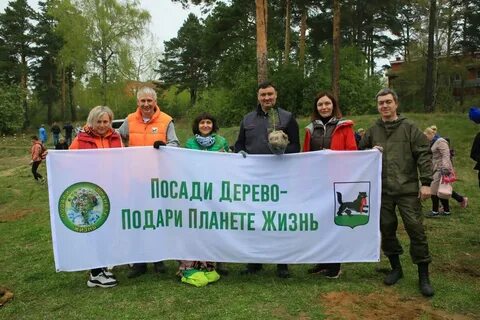 Подарите жизнь деревьям