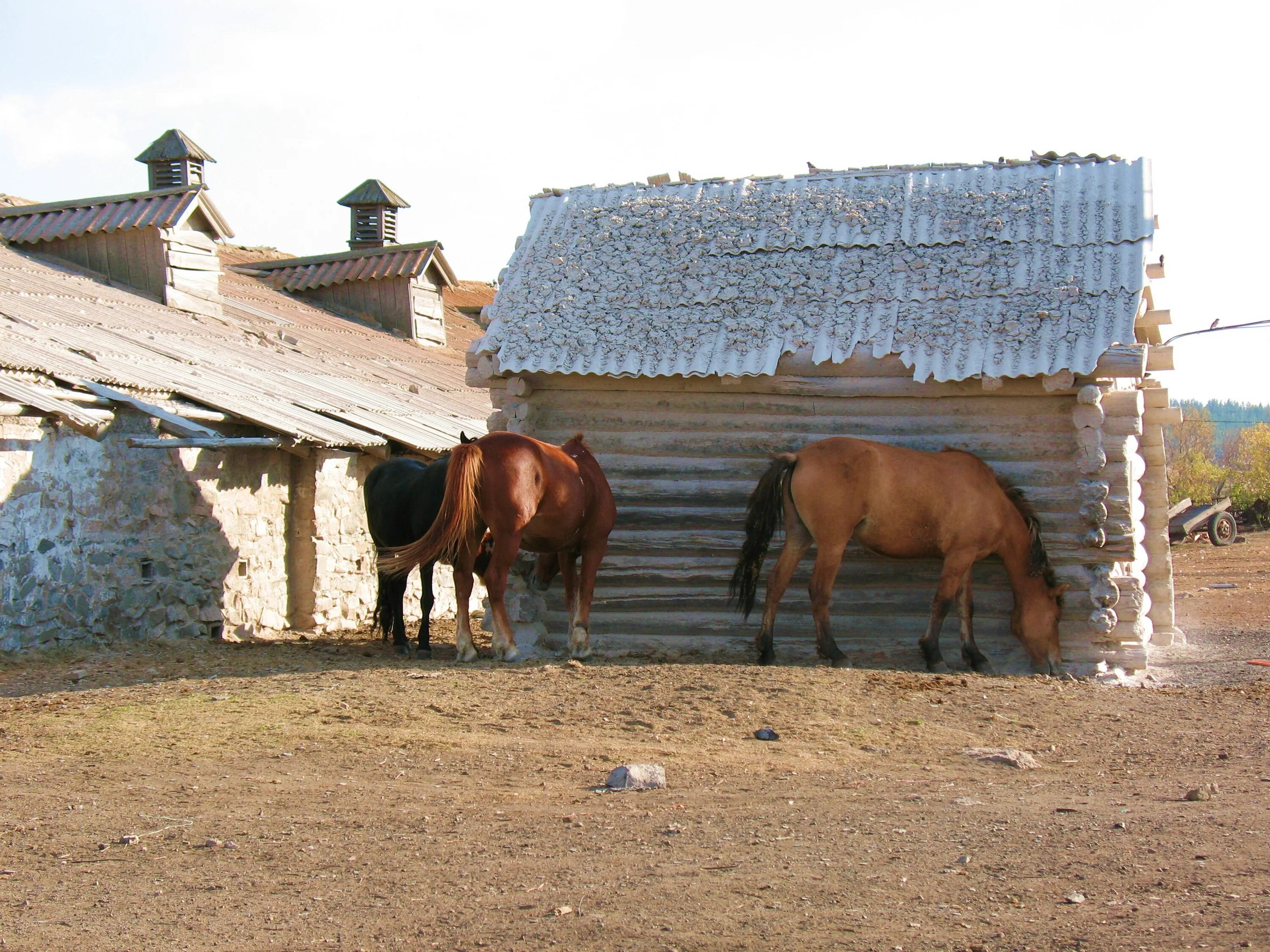 Село лошадка. Лошади в деревне. Сельская лошадь. Деревенский конь. Сарай для лошади.