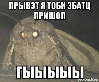 Я тоби брехала я тебе не