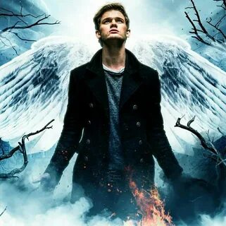 Fallen series