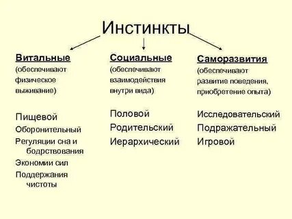 Инстинкт это биологическая природа человека