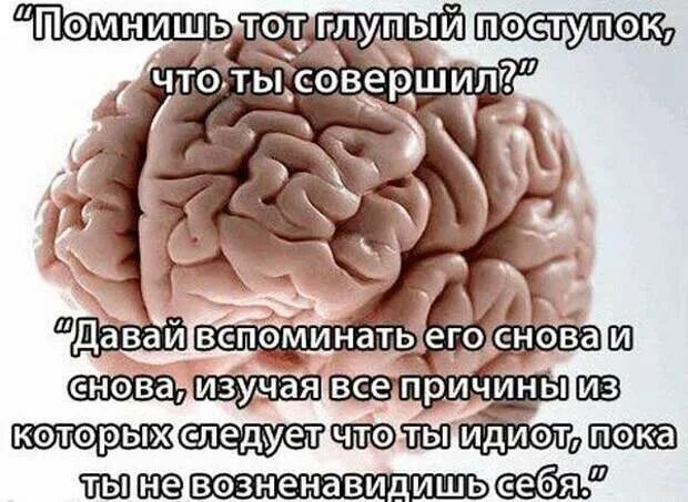 Глупый мозг. Мозг думает. Высказывания про мозг. Мозг картинки прикольные.