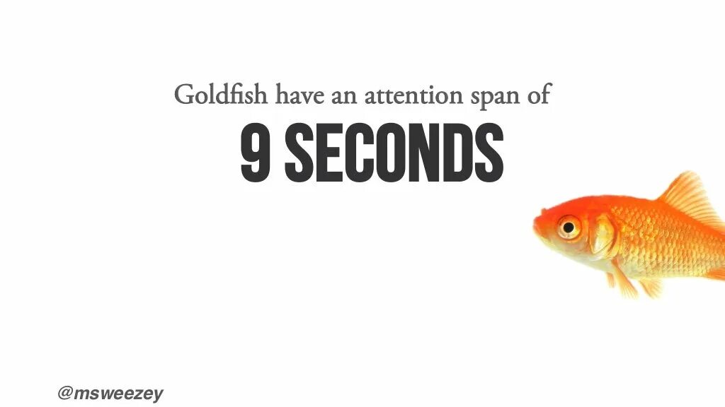Goldfish Memory. Эндрю Голдфиш. Goldfish Memory meaning. Attention spin