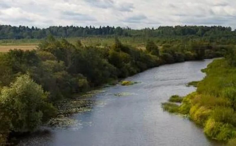 Река шелонь псковская. Река шелонь псковская область. река шелонь новгородская область. порхов река шелонь. шелонь устье.