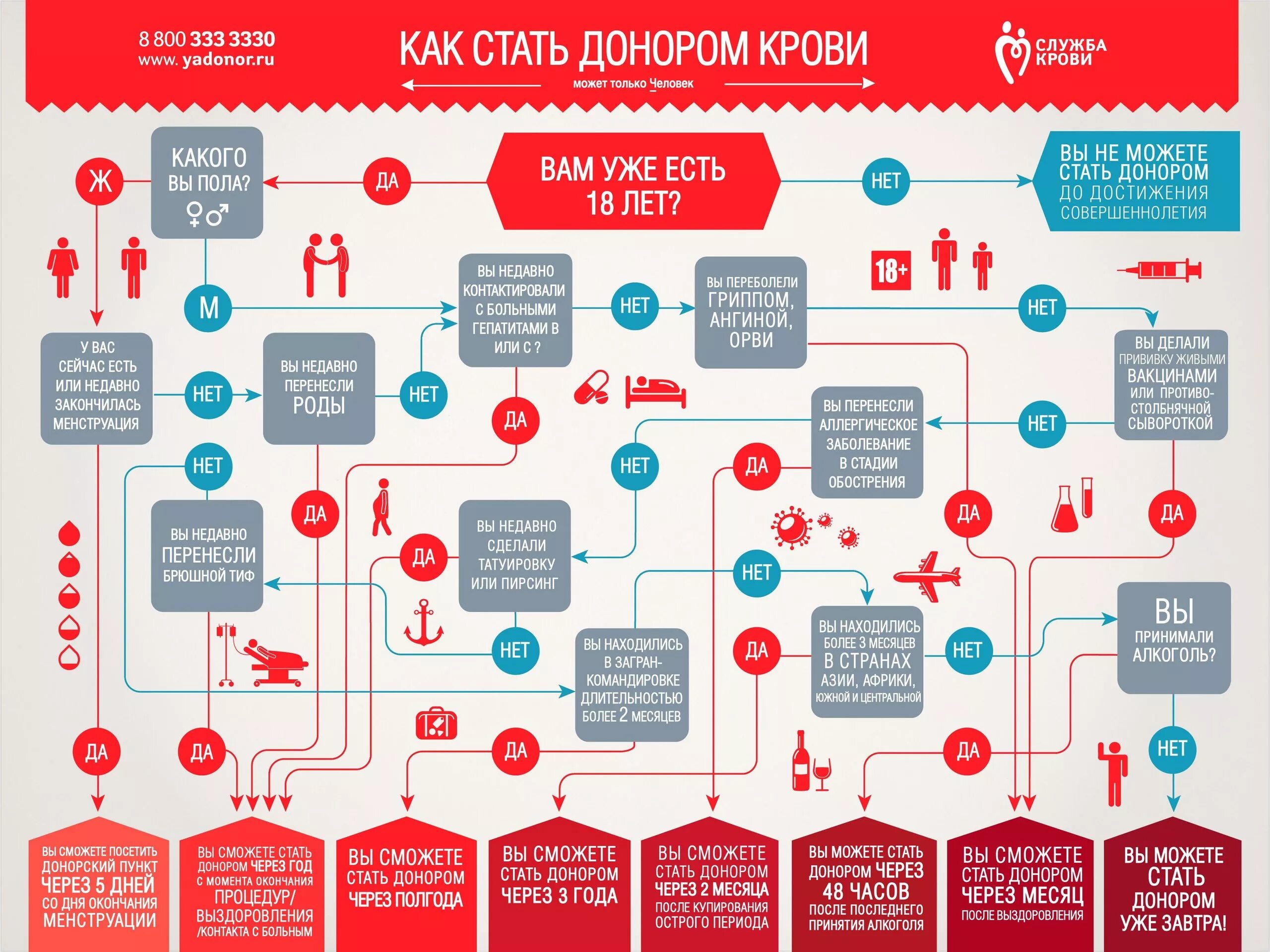 Месячные после орви. Правила сдачи крови. Всемирный день донора крови. Стать донором. Как стать донором.