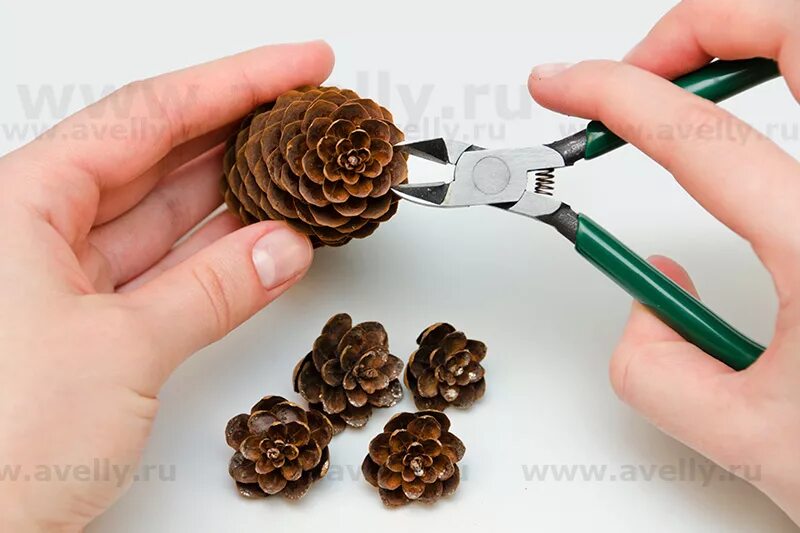 Шишки сосны не раскывшиеся. Шишка разрезанная. Медведь из чешуек шишек. Цветы из шишек на шпажках. Ёлка из шишек поделка.