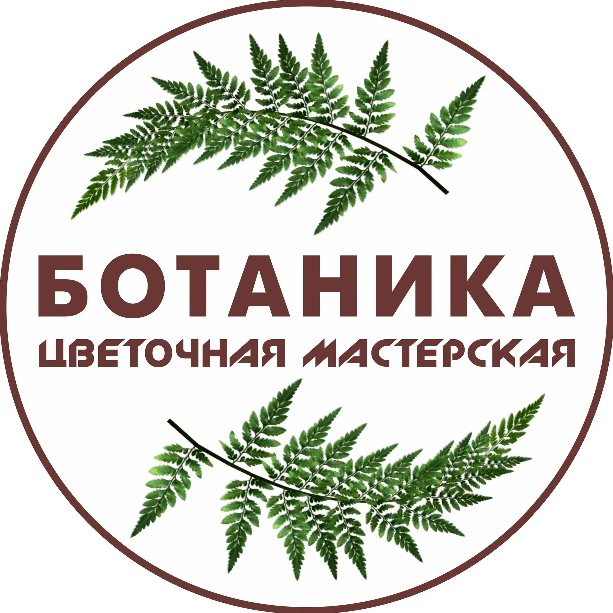 Ботаник график работы. Ботаника тула. мастерская ботаника. ботаника логотип. цветы ботаника логотип.