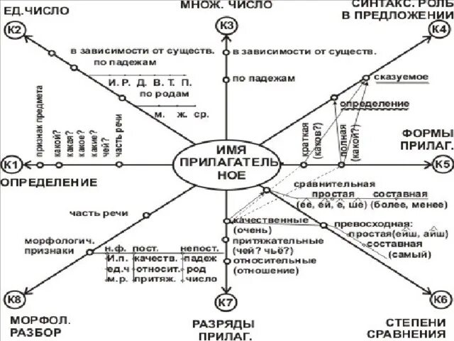 Логико смысловые отношения между предложениями 10 класс. Педагогический процесс логико смысловая модель. Логико-Смысловые модели на уроках русского языка и литературы. Смысловая модель род и вид. Логико-Смысловые,.