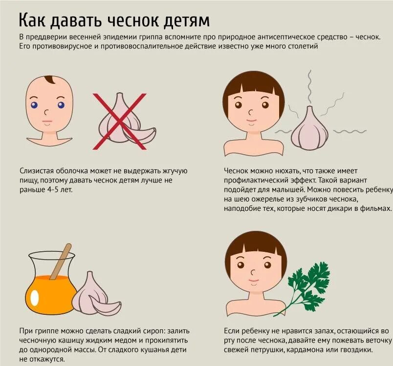 Можно ли чеснок при температуре. Как ребенку дать чеснок. чеснок детям с какого возраста. чем полезен чеснок для организма ребенка. от гриппа детям чеснок.