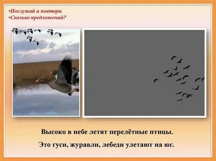 В небе шальные птицы текст