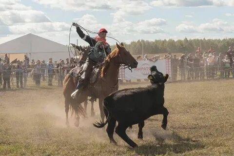 Команда ковбоев