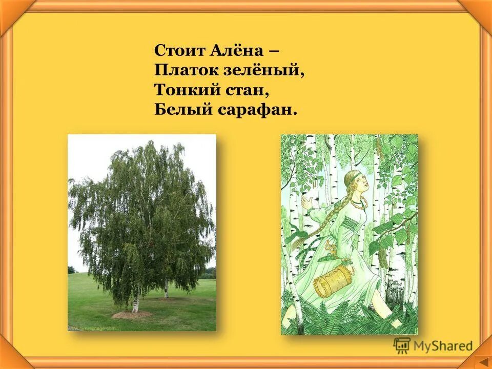 Загадка стоит алена платок