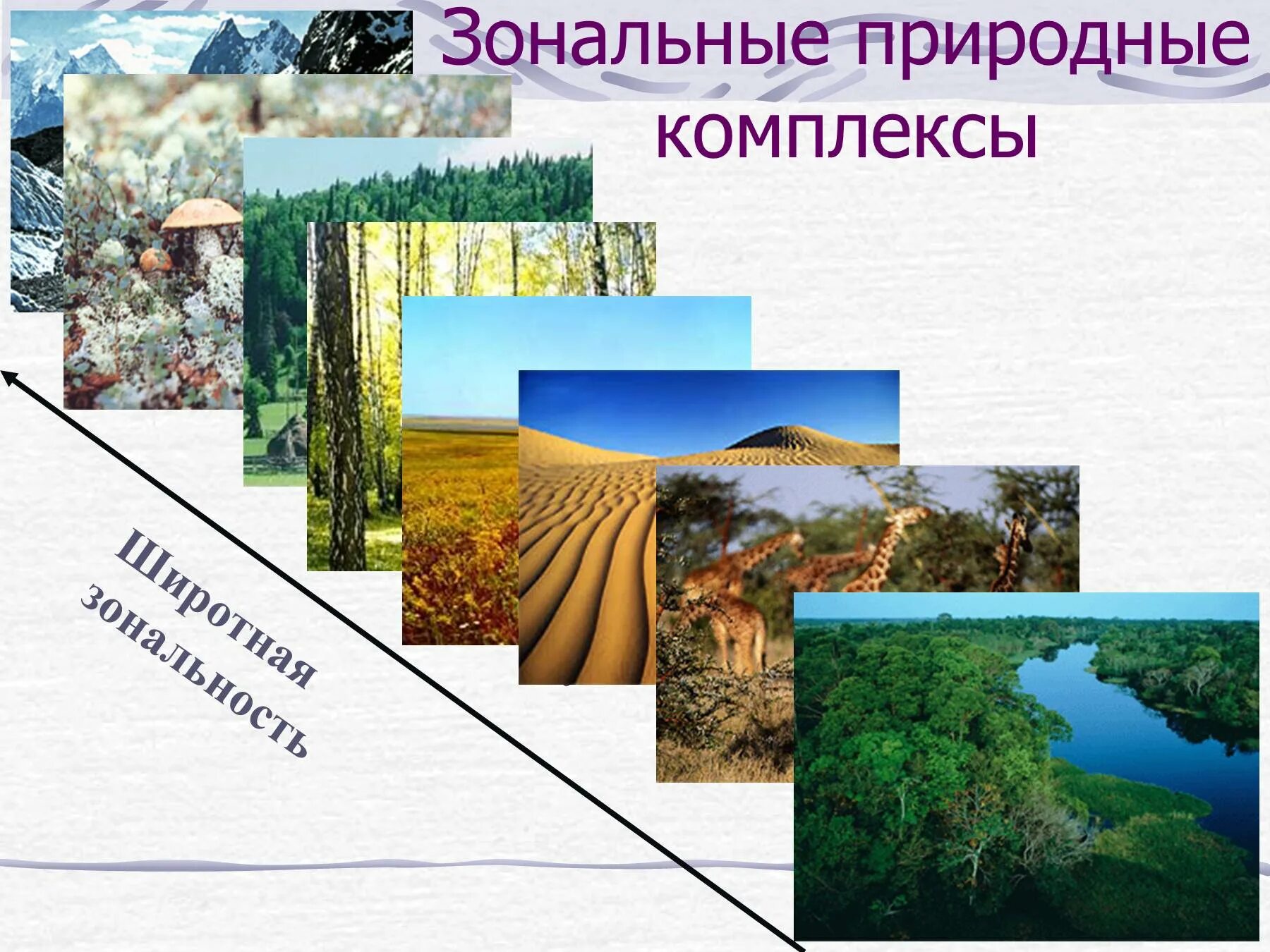 Какие природные комплексы являются наименьшими по размеру. Зональные и азональные природные комплексы. Разнообразие природных комплексов России. Широтная зональность природных комплексов. Зональные компоненты природных комплексов.