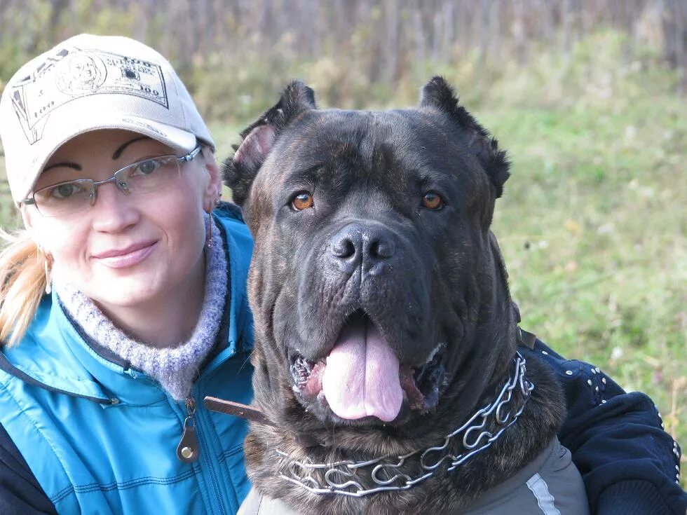 фамилия разумный