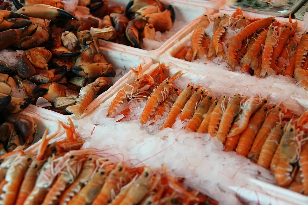 Креветки хранение. Деликатесы из морепродуктов. Морские продукты. Креветки. Ракообразные морепродукты.