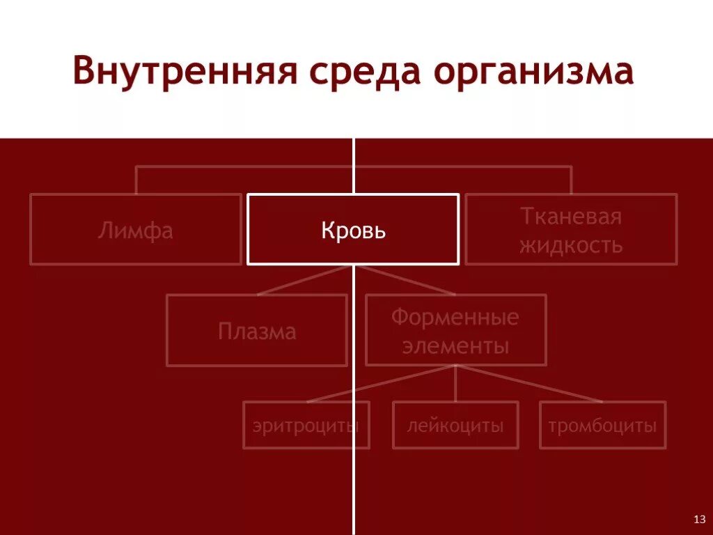 Внутренняя среда организма эритроциты. Внутренняя среда кровь лимфа тканевая жидкость форменные элементы. внутренняя среда кровь лимфа форменные элементы. внутренняя среда кровь лимфа тканевая жидкость. внутренняя среда организма кровь тканевая жидкость лимфа.