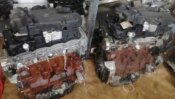 4 дизель 115 л. С. 2 tdci. Мотор на ford transit 2. 2 rwd ford transit.