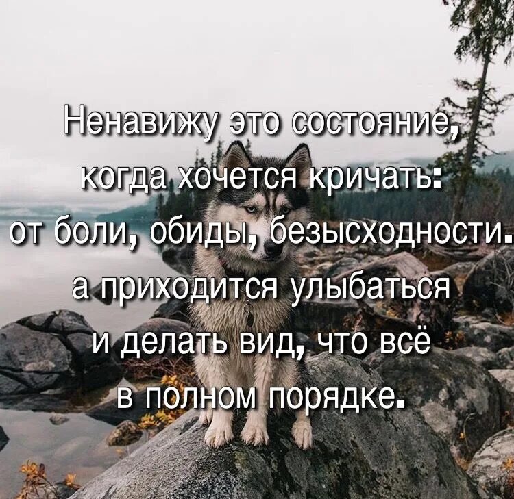 Кричать закричать. Когда хочется кричать. Состояние души цитаты. Высказывания о безысходности. Порой хочется кричать.