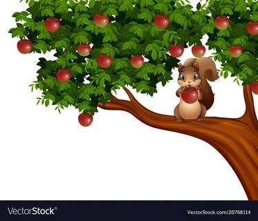 Cartoon squirrel on apple tree vector image on VectorStock.