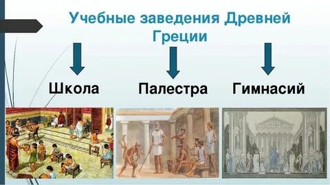 Что такое палестра история 5