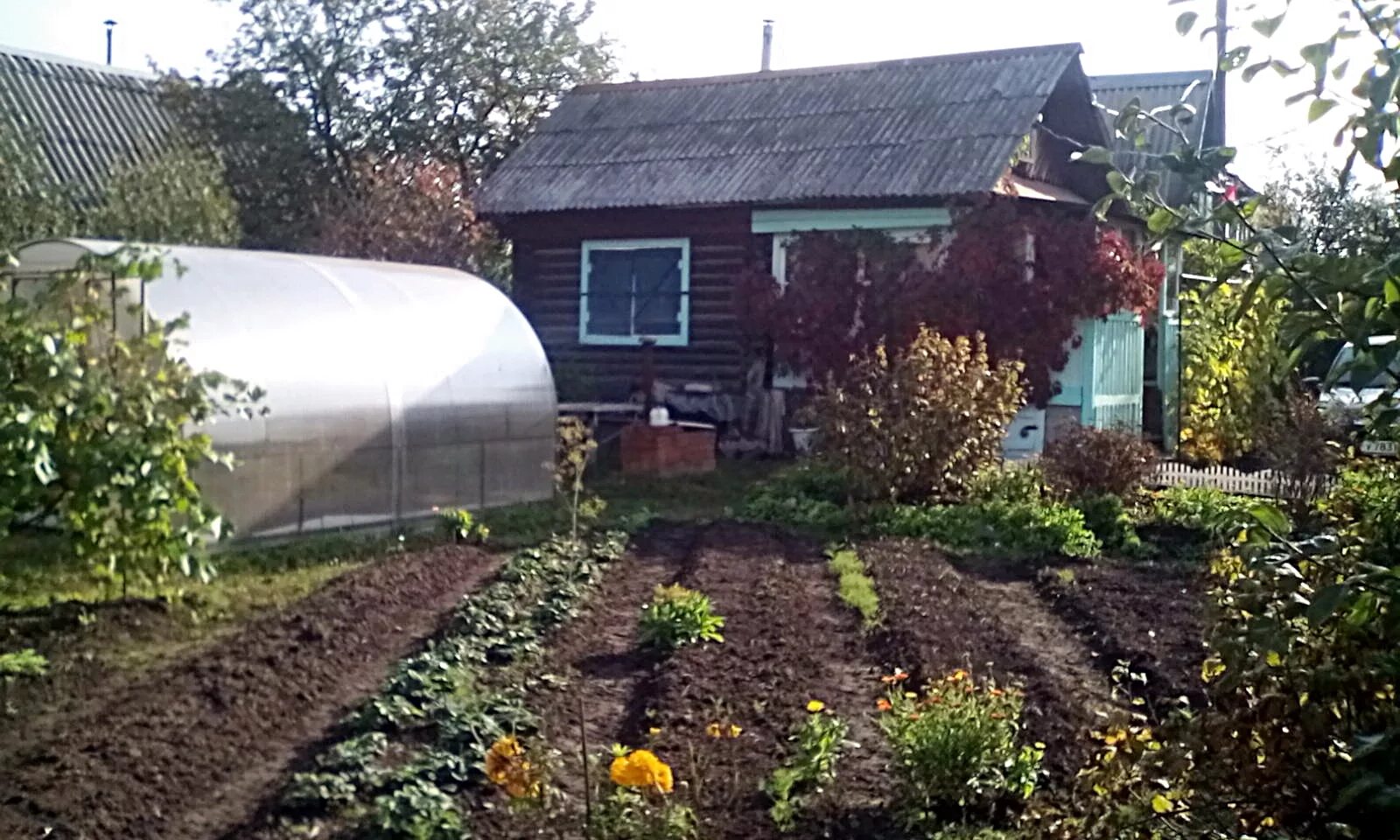 садоогороды снт. авито огороды. красивый садоогород. авито огороды. огород мрия ижевск.