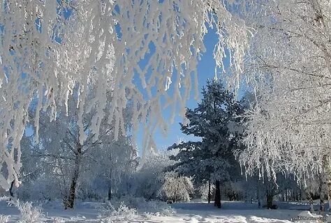 Январский февраль