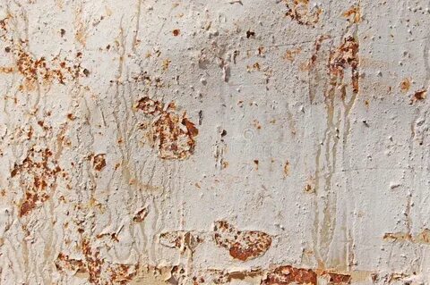 White rust
