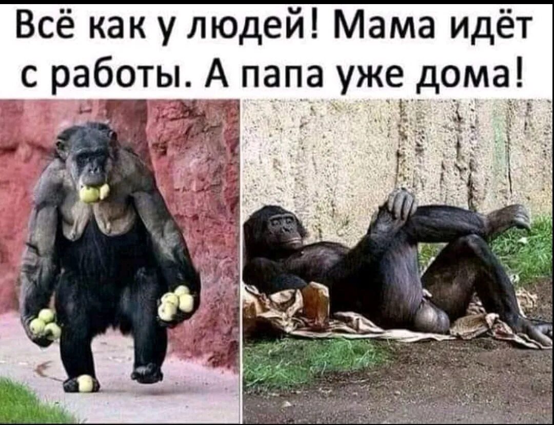 Анекдоты. Анекдоты про папу. Мама на работе стих. Смешные комиксы про отца и сына. Анекдоты в стихах.