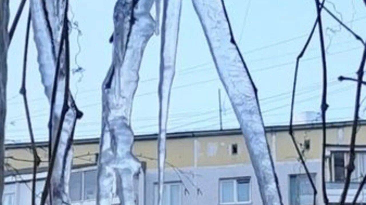 27 февраля 2025. 27 февраля 2025
