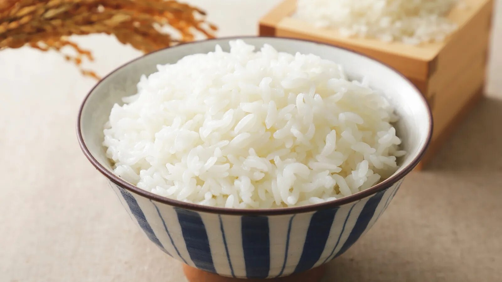 Что можно положить в рис. Рис Хакумай. Плюс миска рис. Минус миска рис. Партия дать миска рис.
