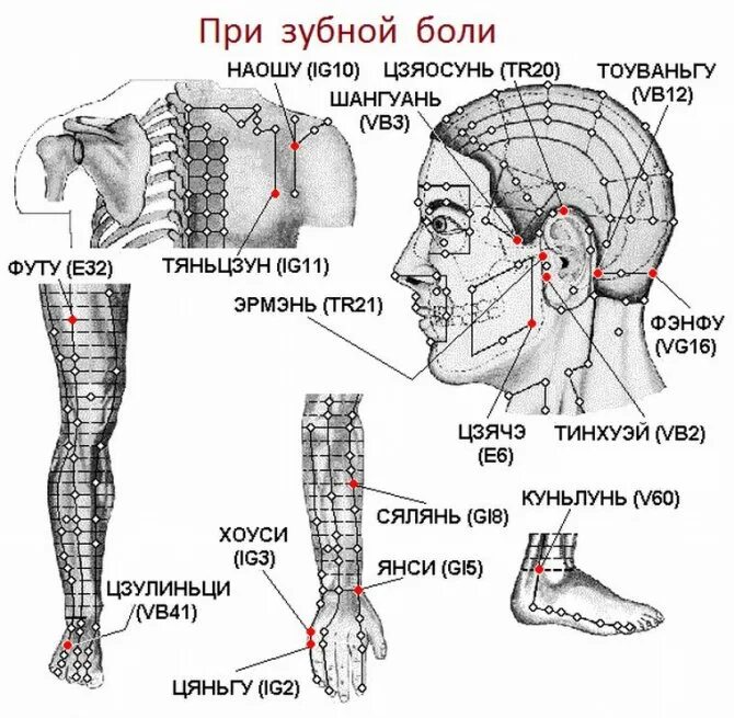 Какие точки надо массировать. Точки массирования при зубной боли. Точки акупунктуры для снятия зубной боли. Акупунктурные точки зубная боль. Точки акупунктуры зубная боль.