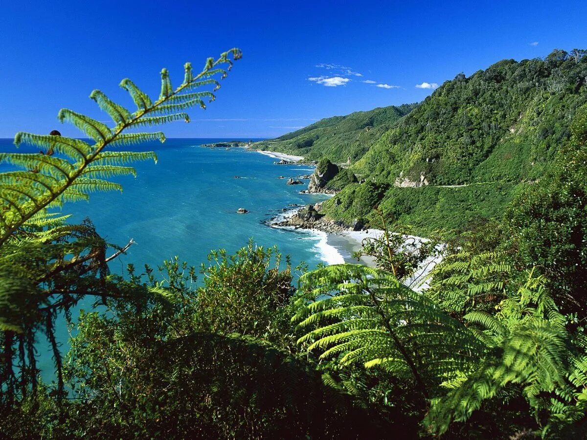 New zealand two islands. Национальный парк Папароа новая Зеландия. Новая Зеландия (New Zealand). Новая Зеландия Южный остров. Новая Зеландия природа Окланд.