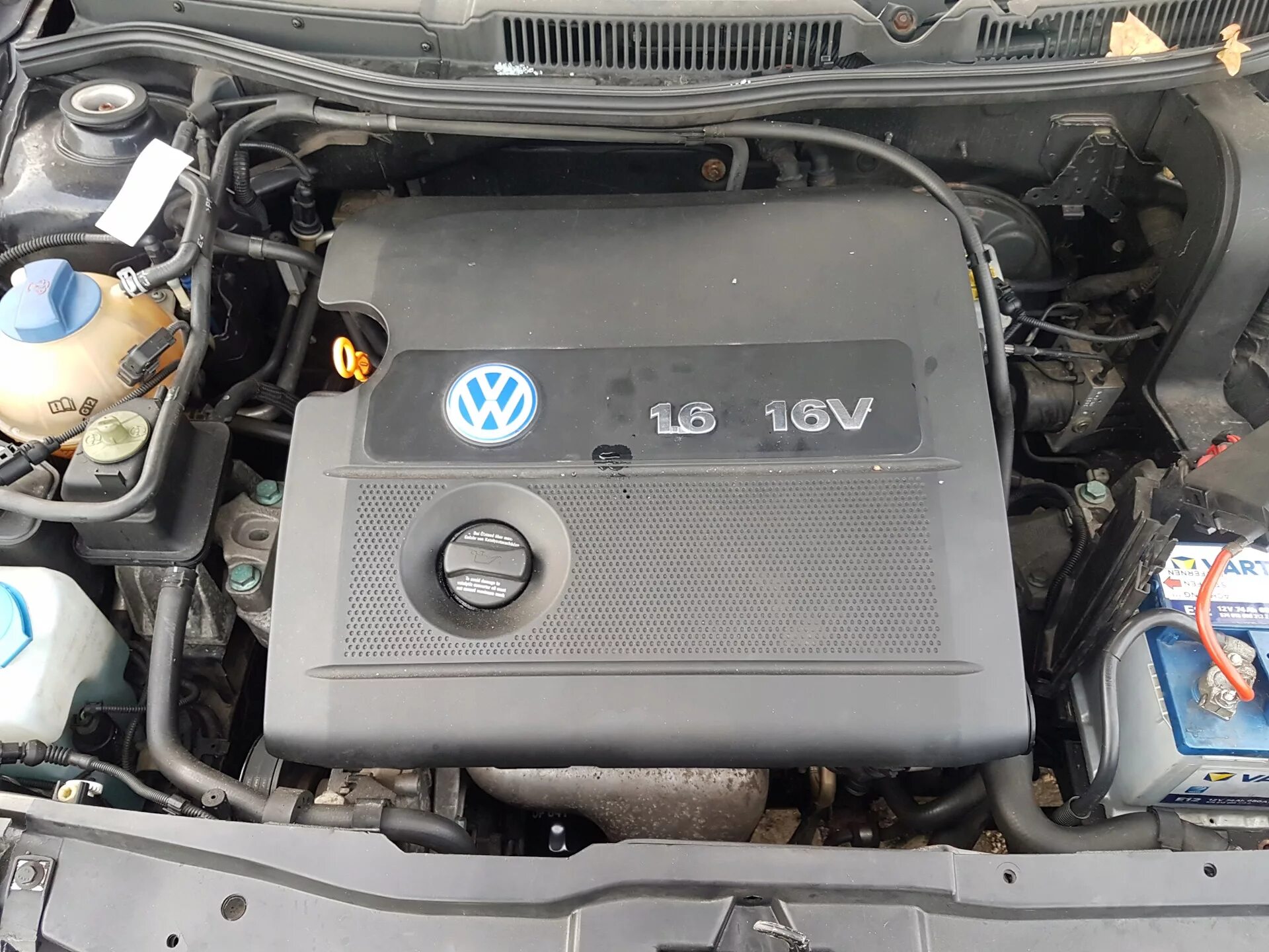 Volkswagen bora двигатель. Двигатель VW Golf 4 1.4. Фольксваген гольф 4 1.6 AZD. Двигатель Фольксваген гольф 4 1.4 16 v. Фольксваген гольф 4 двигатель 1.6 AZD.