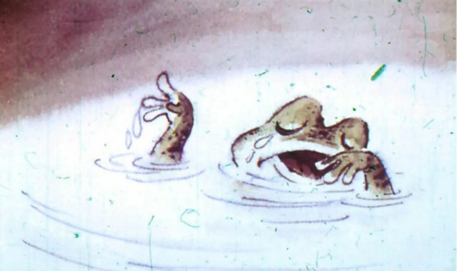 две лягушки в молоке. две лягушки в молоке. две лягушки в молоке. две лягушки сказка. сказка 2 лягушки пантелеев.