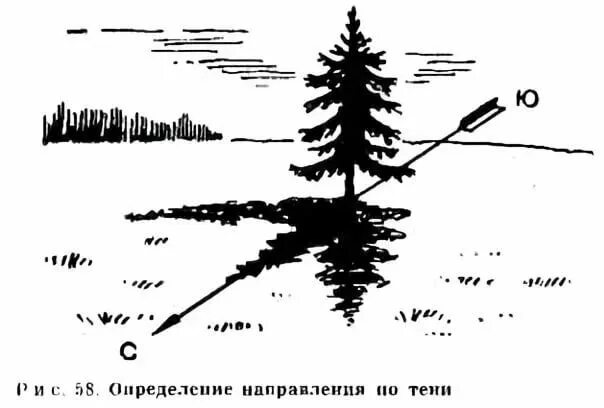 Как определить время как направление. Стороны света по тени. Как по тени определить время суток. Определение сторон горизонта по тени. Стороны света по тени в полдень.