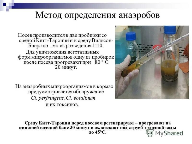 схема бактериологического исследования почвы. метод серийных разведений микробиология схема. микробиологическое исследование молока схема. определение кмафанм схема. схема разведений микробиология.