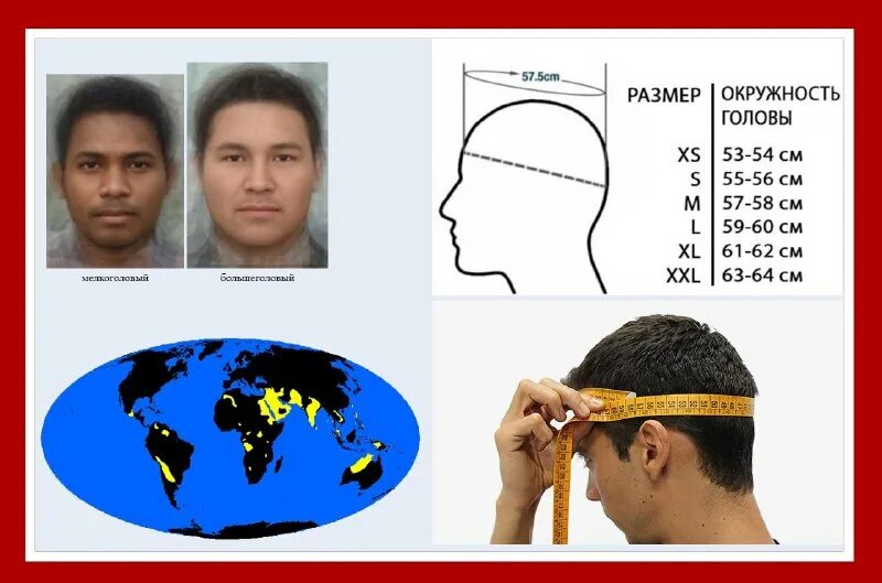 Диаметр головы человека. Как померить размер головы для шапки мужчине. Размеры черепа. Размер головы в длину. Размер головы в длину.
