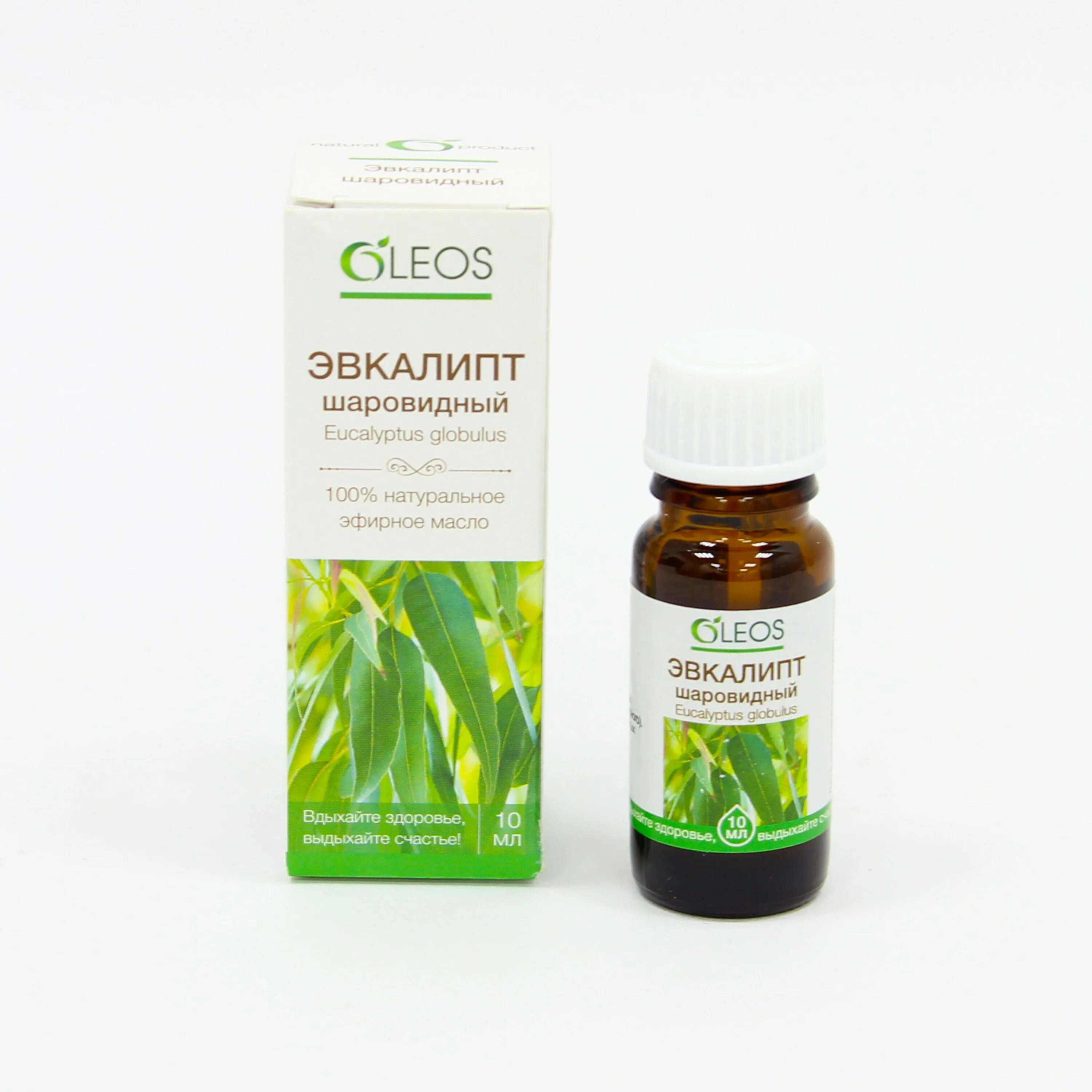 Oleos эфирные масла отзывы. Мята перечная эфирное масло. Олеос масло эфирное роза 10мл. Oleos мята эфирное масло 10 мл. Олеос масло эфирное ель 10мл.