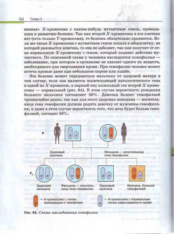 Биология 11 класс каменский криксунов. Биология 10-11 класс учебник Каменский. Биология 10-11 класс учебник. Учебник биологии 10-11. Биология 10 класс учебник Каменский.