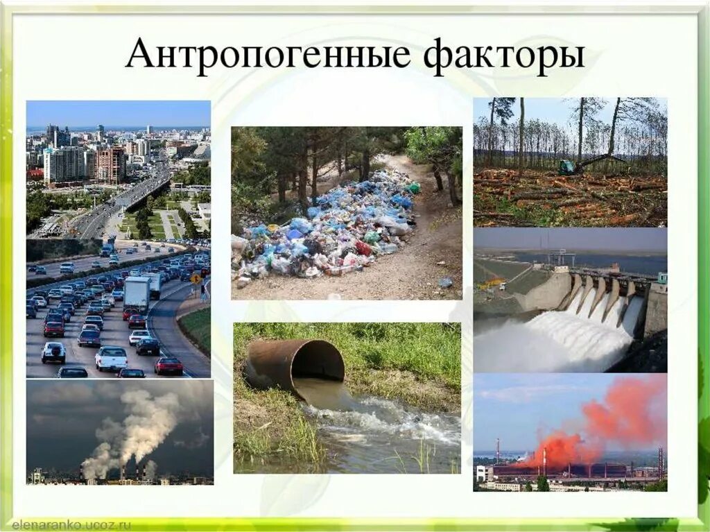 Примером антропогенного фактора является