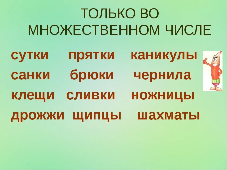 Число слова сам. Слова только во множествомчисле. Слова которые употребляются только во множественном числе. Слова только во множественном числе. Слова тобко мнлжественого сислп.