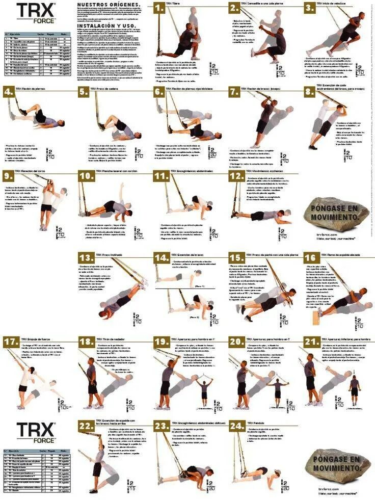 Комплекс упражнений на TRX петлях. TRX петли тренировки для мужчин упражнения. Петли тренировочные TRX воркаут. Базовые упражнения на петлях TRX. Trx скрипты