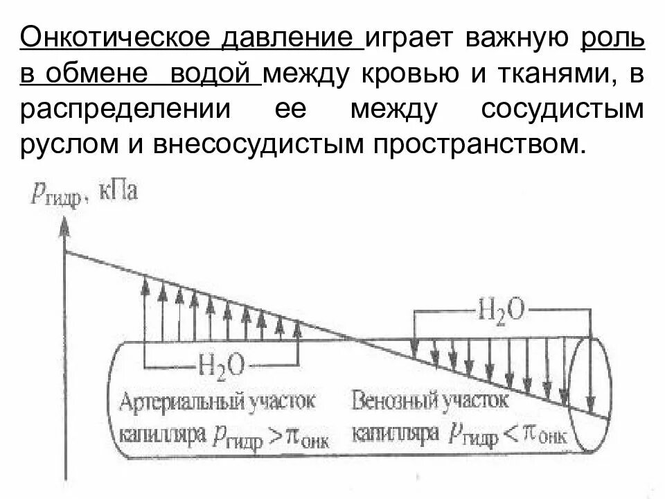 Давление на ткани. Снижение онкотического давления плазмы крови. Гидростатическое давление патфиз. Гидростатическое давление в капиллярах. Гидростатическое давление крови.