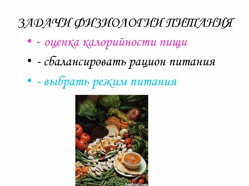 Режим питания физиология. Физиология питания 8 класс. Презентация на тему здоровое питание. Физиология питания 8 класс. Физиология питания.