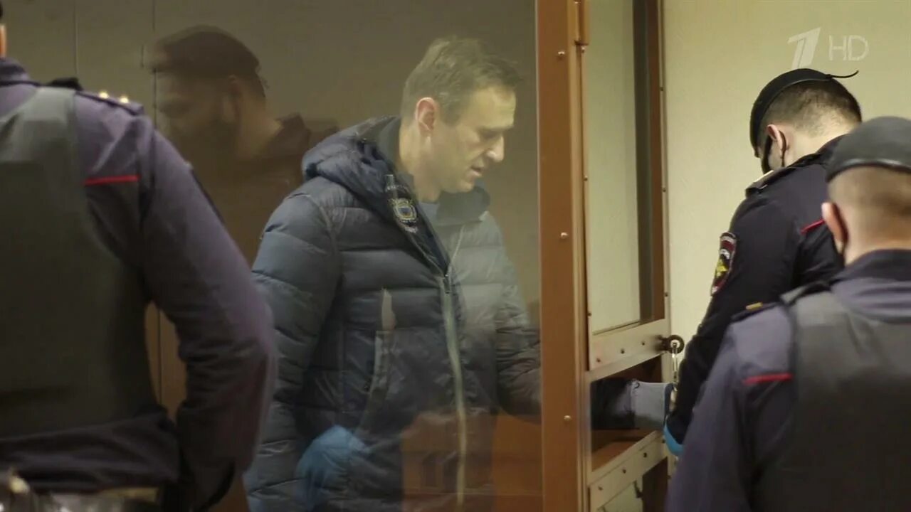 Суд над Навальным. Адвокат и прокурор. Прокурор в суде. Суд признал невиновным