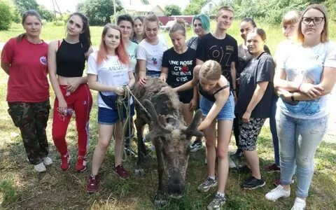 Оленево рязань