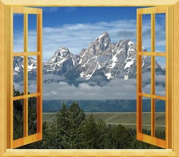 Open windows