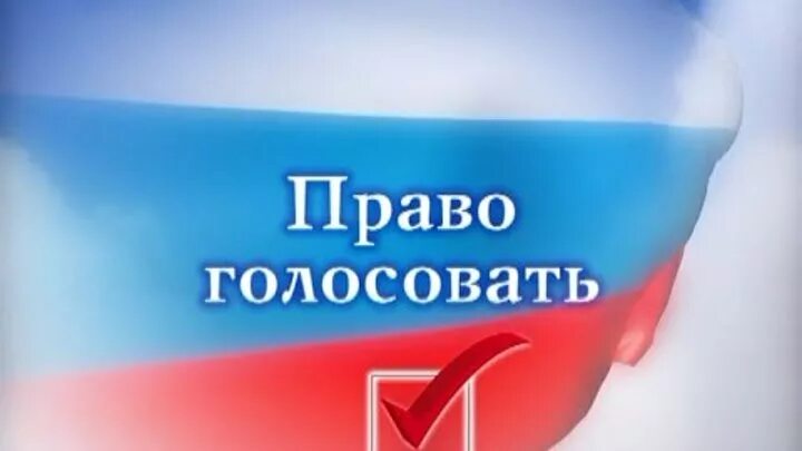 Человек с правом голосовать. Кто имеет право голосовать. Голосование иллюстрация. Голосующий человек рисунок. Выборы иллюстрация.