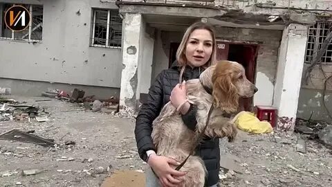 Спасти бросила