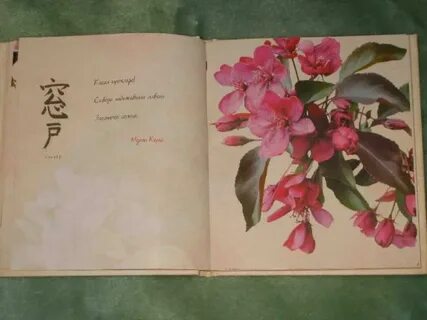 Книга сакура